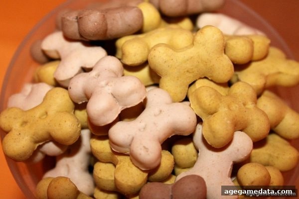 ag电子娱乐深度解析：老虎机游戏类型、信誉评估与最佳策略指南
