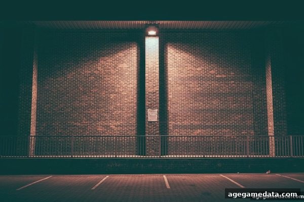 探索电子游艺连线机制：ag电子娱乐带你解密趣味与概率