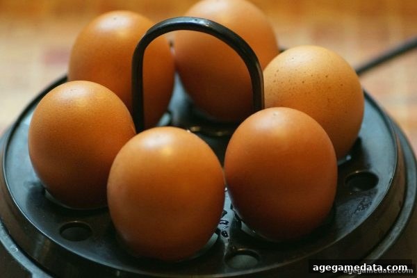 深度解析老虎机免费旋转：ag电子娱乐带你玩转奖金轮次